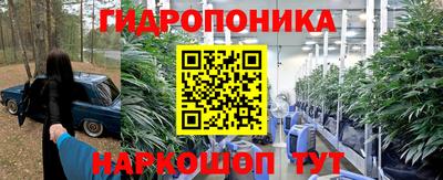 молекула духа Рыбинск
