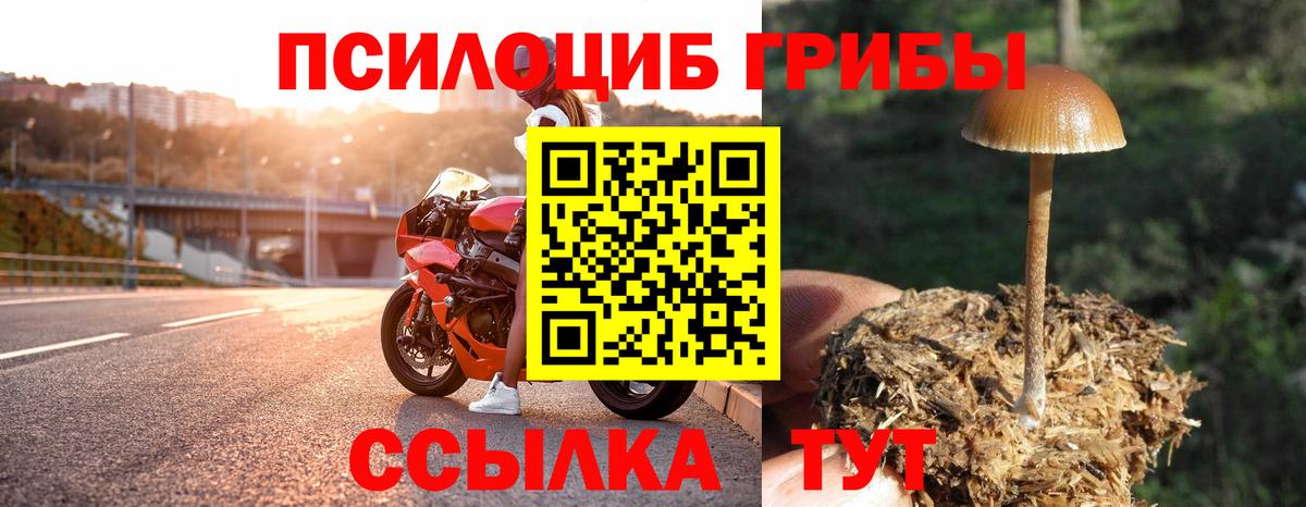 Саранск  Галлюциногенные грибы прущие грибы  Вход с VPN 